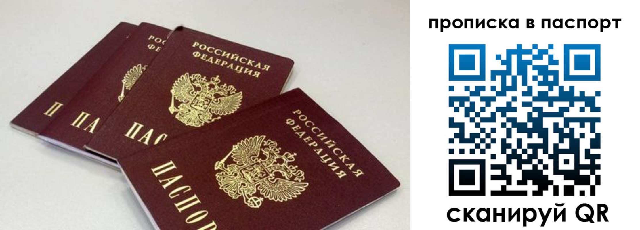 найти адрес прописки в Чудово
